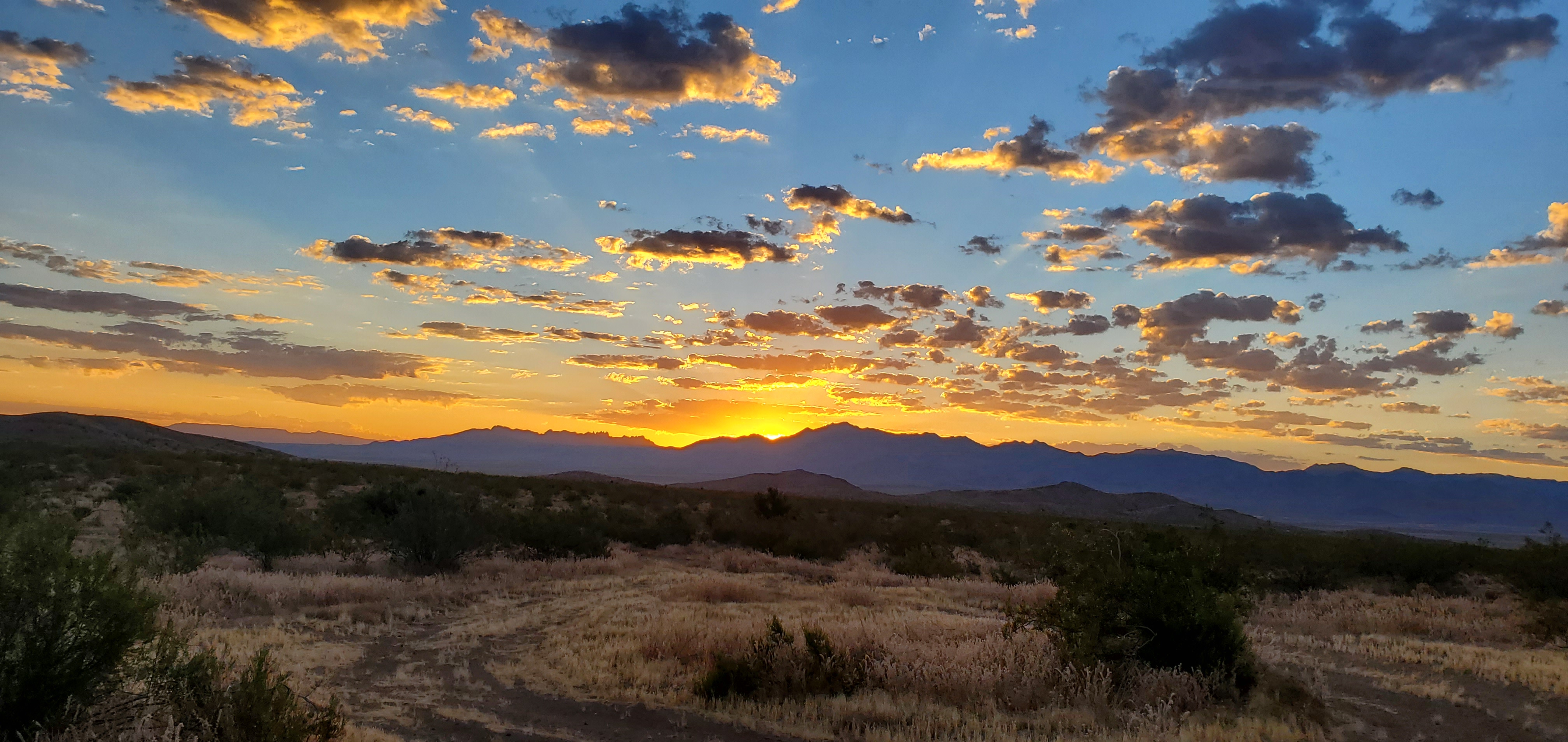 sunrise in the desert